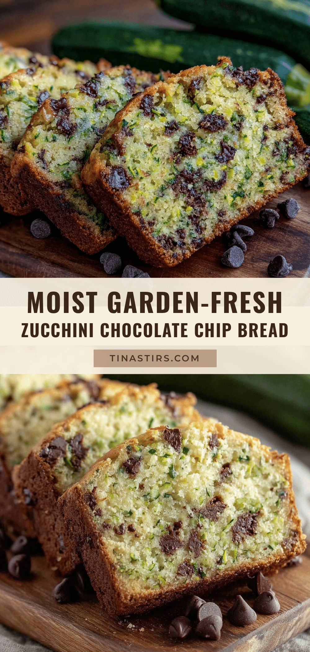 moist zucchini bread with chocolate chips recipe
