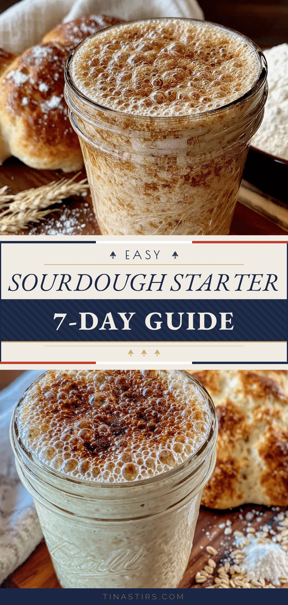 7-day sourdough starter recipe