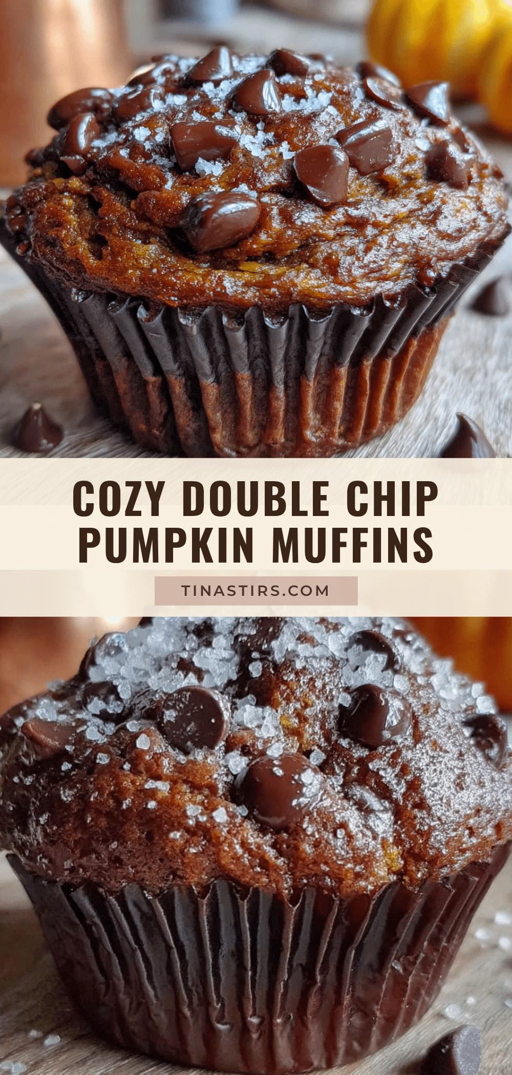 double chocolate chip pumpkin muffins recipe