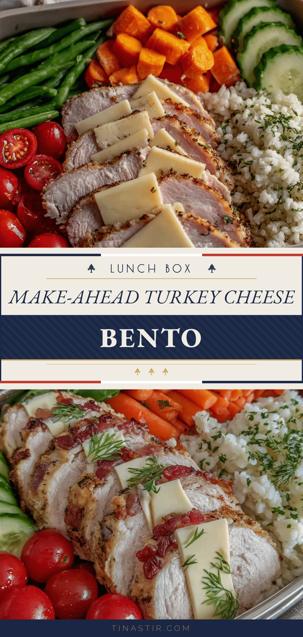 Healthy Make-Ahead Turkey and Cheese Bento recipe