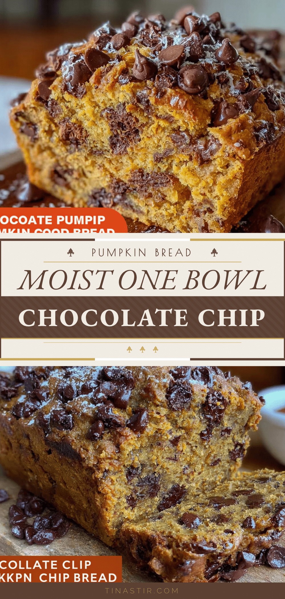 moist one bowl chocolate chip pumpkin bread recipe