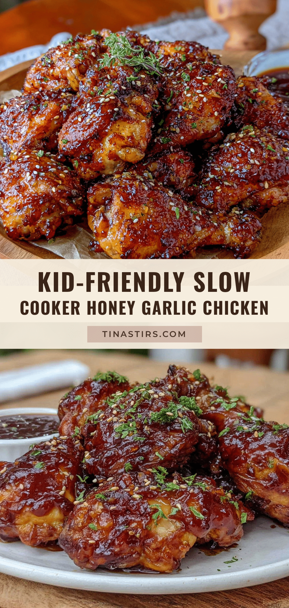 slow cooker honey garlic chicken recipe