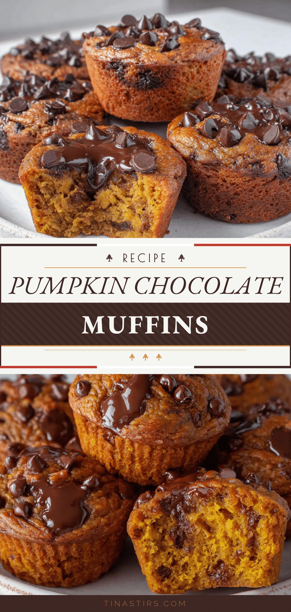 small-batch pumpkin chocolate chip muffins recipe